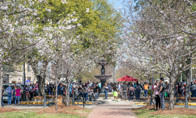 Best Festivals in Atlanta: Spring and Summer 2024 Best Festivals in Atlanta: Spring and Summer 2024