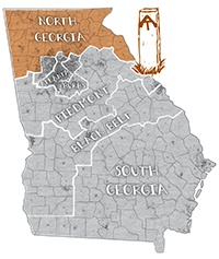 Image: Illustrated map of Georgia.