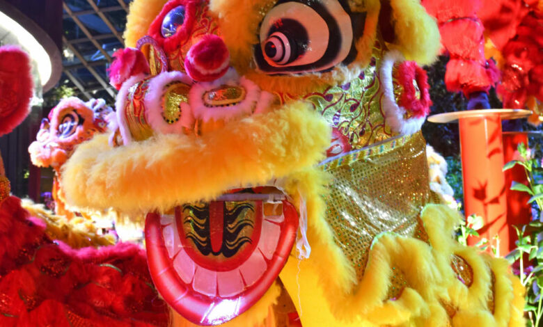 10 Attractions to Visit this Winter in Atlanta