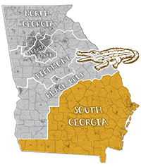 Image: Illustrated map of Georgia.