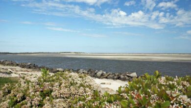 11 Best Georgia Beaches