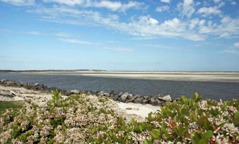 11 Best Georgia Beaches