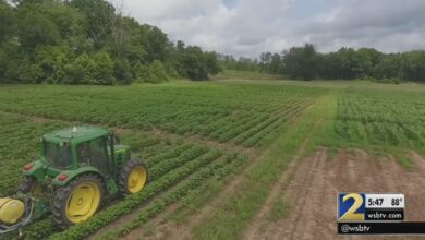 5 black-owned businesses killin’ the agriculture game right now