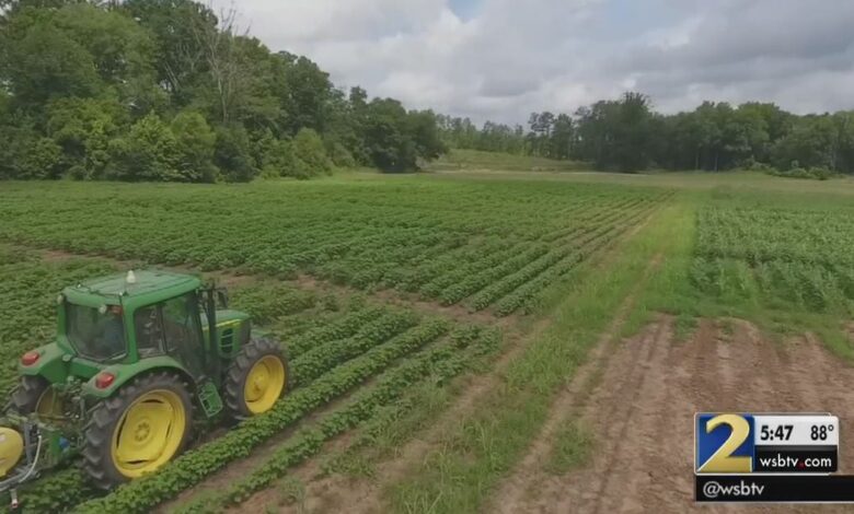 5 black-owned businesses killin’ the agriculture game right now