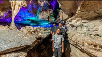 Weekend Trips from Atlanta for Families This Winter