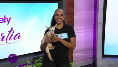 Portia: Shifting Mindsets