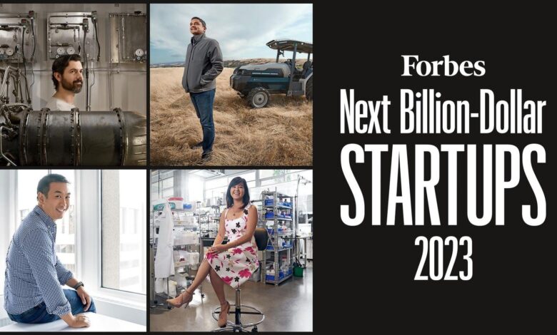 Next Billion-Dollar Startups 2023