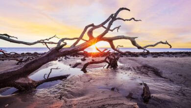 The 16 Best Weekend Getaways From Atlanta