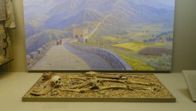 Facing Scrutiny, a Museum That Holds 12,000 Human Remains Changes Course