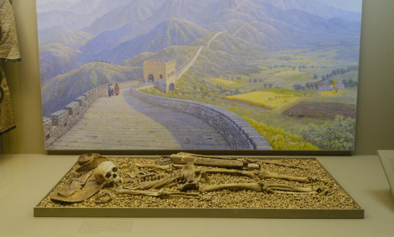 Facing Scrutiny, a Museum That Holds 12,000 Human Remains Changes Course Facing Scrutiny, a Museum That Holds 12,000 Human Remains Changes Course