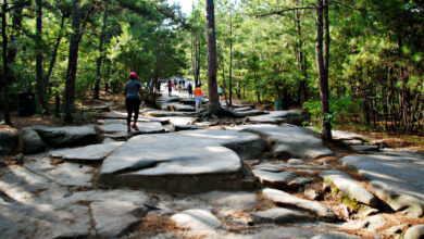 Out-of-the-Box Fitness Ideas in Atlanta
