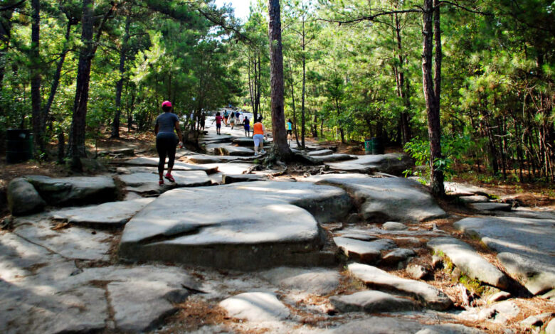 Out-of-the-Box Fitness Ideas in Atlanta