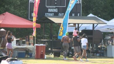 Save the Date: Atlanta Caribbean Carnival Parade & Festival