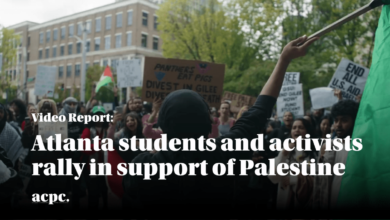Atlanta students and activists rally in support of Palestine
