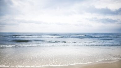 10 Best Beaches Near Savannah, Georgia