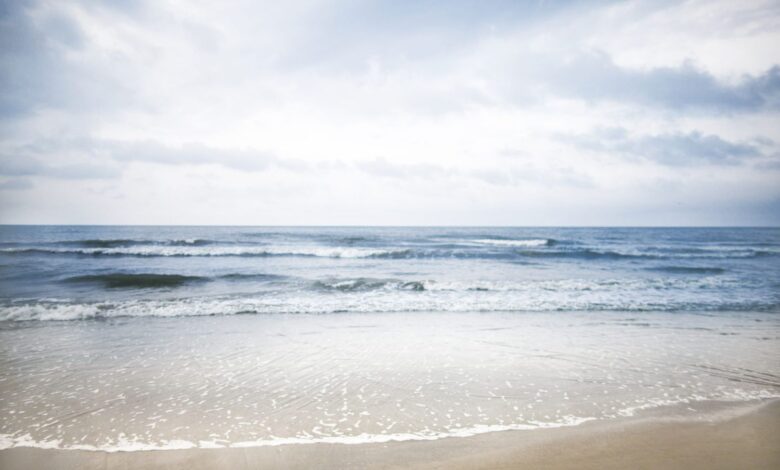 10 Best Beaches Near Savannah, Georgia 10 Best Beaches Near Savannah, Georgia
