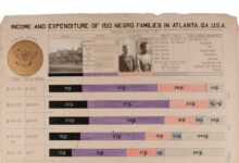 What W. E. B. Du Bois Conveyed in His Captivating Infographics