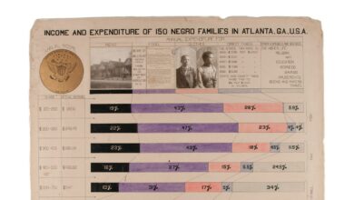 What W. E. B. Du Bois Conveyed in His Captivating Infographics