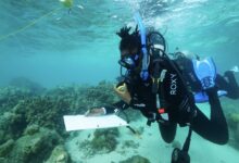 Black Marine Biologists And Certified Divers Share Best Destinations For Scuba Diving and Snorkeling