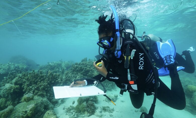 Black Marine Biologists And Certified Divers Share Best Destinations For Scuba Diving and Snorkeling
