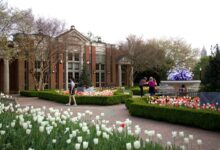 25 Fun Things To Do In Atlanta This March