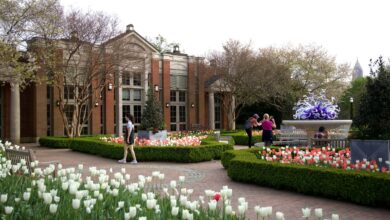 25 Fun Things To Do In Atlanta This March