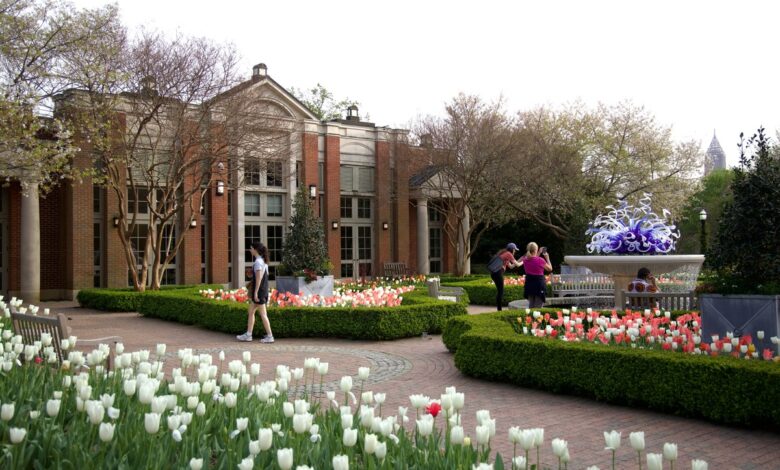 25 Fun Things To Do In Atlanta This March