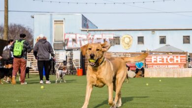 Best places to meet people that aren’t bars or dating apps in Atlanta