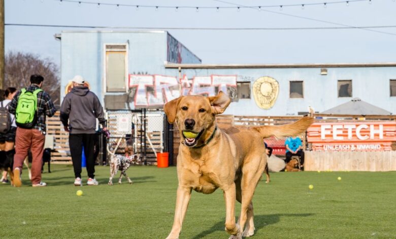 Best places to meet people that aren’t bars or dating apps in Atlanta