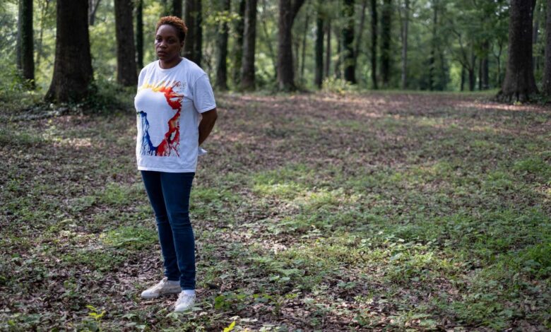 Black leaders rally to preserve cemetery next to skate park African Americans Confederate Black Atlanta