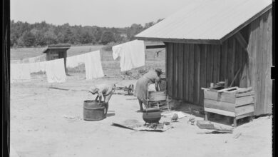 Georgia rushes to preserve historic Black farming community – WABE