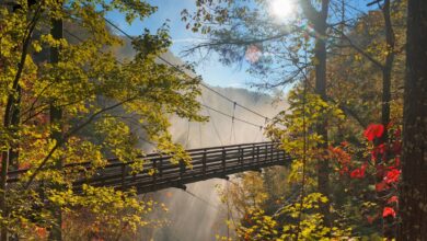 22 Exciting Things To Add To Your 2022 Atlanta Bucket List