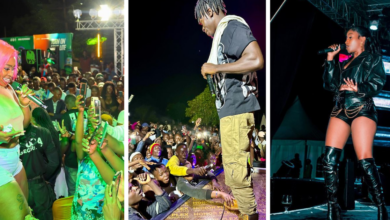 Admiration without boundaries – Alien Skin asks celebrities to stop beating fans