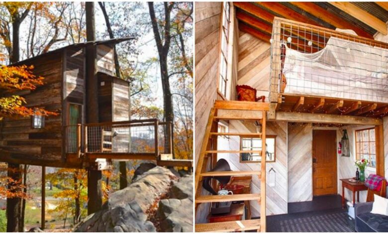 Best Treehouses In Georgia Include Free Wine & A Romantic Fire Pit