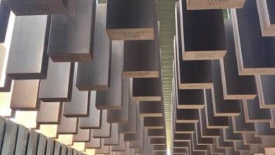 Reflections On the Civil Rights Trail