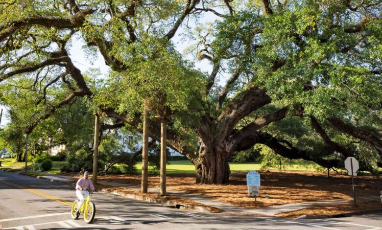 How To Spend A Spring Weekend In Thomasville, Georgia