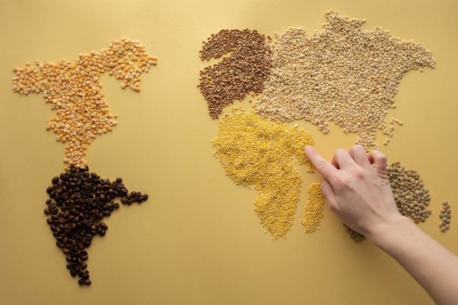 world map made of seeds