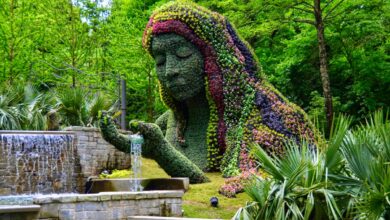 5 Best Solo Dates To Take Yourself On In Atlanta