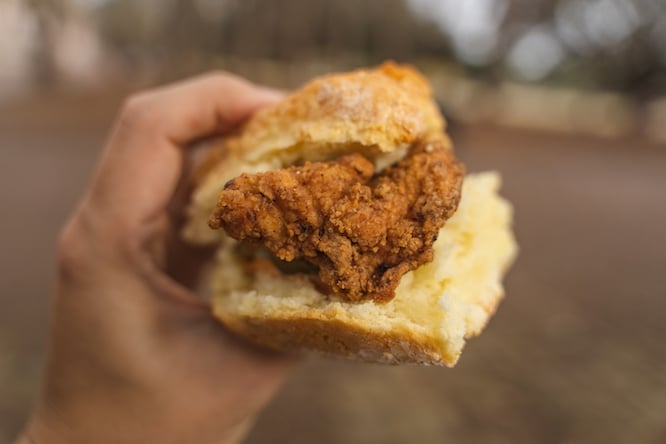 hand holding a chicken biscuit