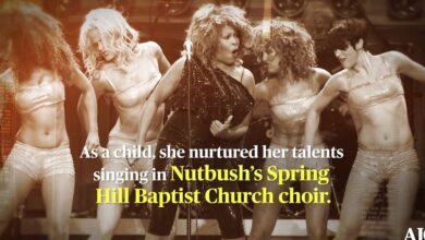 Black History Month: Tina Turner