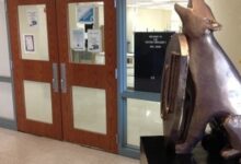 Historically black colleges that have closed