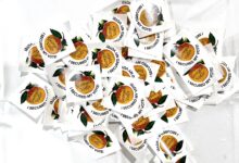 Early Voting options in Gwinnett County for 2024 elections