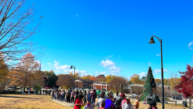 Georgia sees record Black voter turnout in early voting period