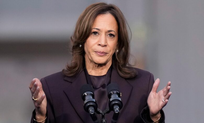 Vice President Harris concedes 2024 election, vows to fight
