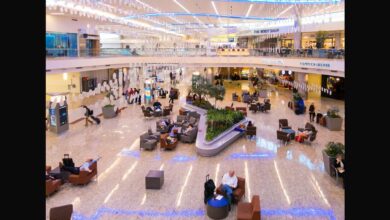 Atlanta Airport Food, Drinks, and Things to Do During a Layover