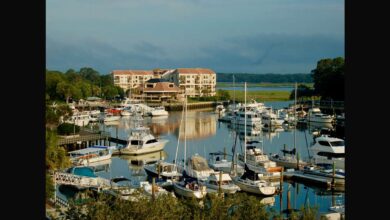 Best Road Trips From Atlanta: Scenic Weekend & Day Trips to Take