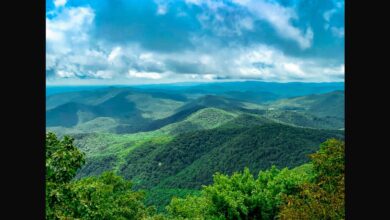 Best Things to Do in Blue Ridge on a Weekend Getaway in Georgia