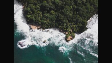 Top Surfing Destinations For Black Travelers To Visit