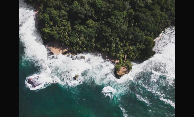 Top Surfing Destinations For Black Travelers To Visit Top Surfing Destinations For Black Travelers To Visit