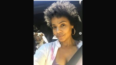 Sanaa Lathan Shows Off Her Hair Growth Since Her Big Chop